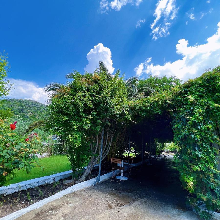 Garden Villa Naza Piqeras Esterno foto